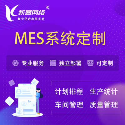 龍巖網(wǎng)絡技術(shù)服務全解析 軟件開發(fā)、系統(tǒng)定制與網(wǎng)站建設
